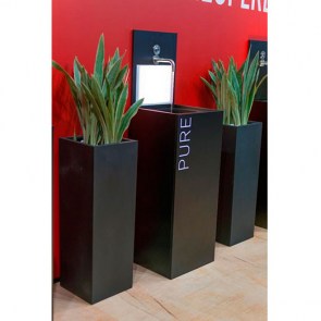 Decher Sansevieria-Saeule.jpg